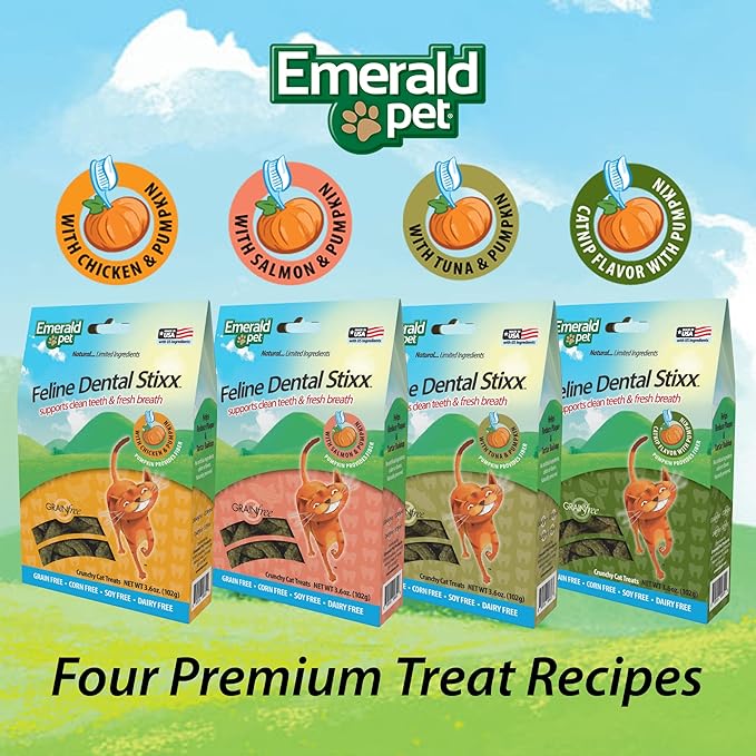Emerald Pet Feline Dental Stixx — Tasty and Crunchy Cat Dental Sticks with Pumpkin for Digestive Health — Natural Grain Free Dental Treats for Clean Cat Teeth and Fresh Breath — Chicken Stixx, 3.6 oz-PawvioPets