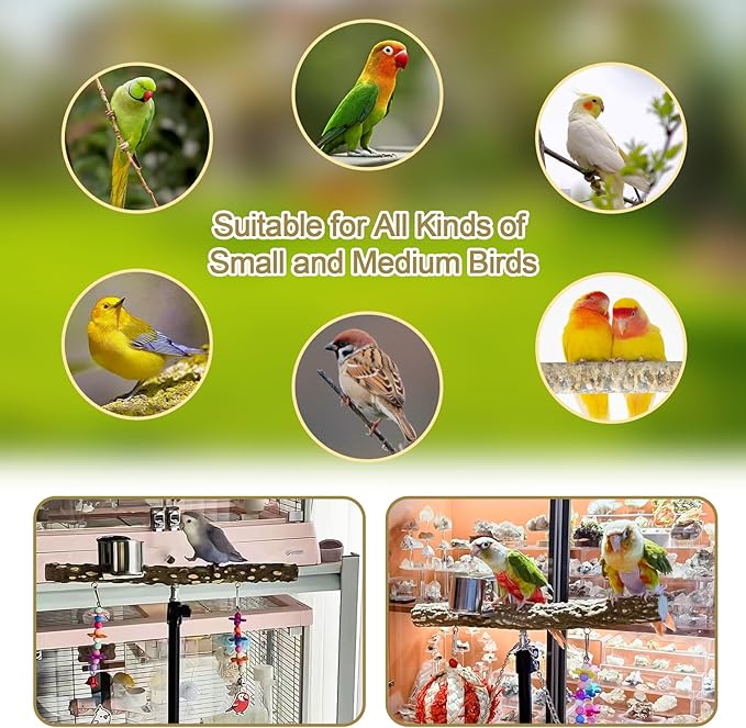 16-63 Inch Height Adjustable Bird Perch Pepper Wood Parrot Training Perch Stand with Feeding Cups and Swing Toy Parakeet Perches Indoor and Outdoor Parrot Stands for Small to Medium Bird-PawvioPets