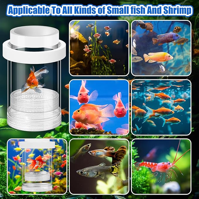 2 Pcs Breeder Box for Fish Tank Aquarium Breeder Separation Net Breeding Box with Suction Cup for Small Fish Shrimp Clownfish Guppy(White,M)-PawvioPets