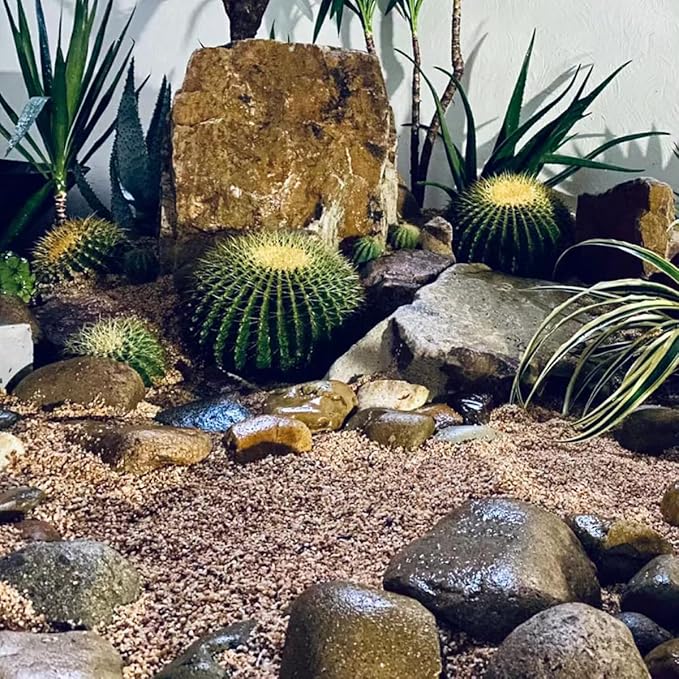 5lbs Aquarium Gravel, 1/8"(2-4mm) Natural River Rocks Succulent Cactus Pea Gravel for Plants, Fish Tank, Decorative Pebbles for Gardening, Flower Pots, Vase Fillers, Landscaping-PawvioPets