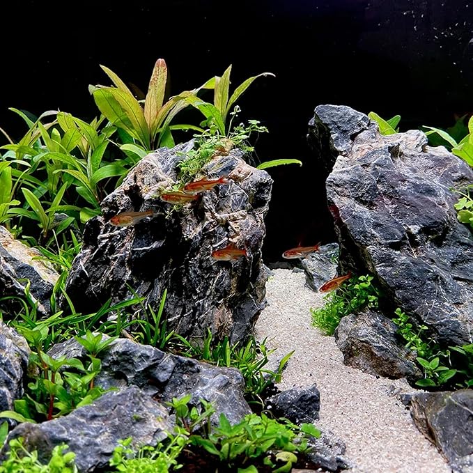 14-16 Inches Natural Seiryu Stone 2 PCS Ultra Large Aquarium Rocks for Aquascaping, Aquarium Landscaping, Terrariums, Fish Tank Decoration, Vivariums, Paludarium, Amphibian Enclosures-PawvioPets