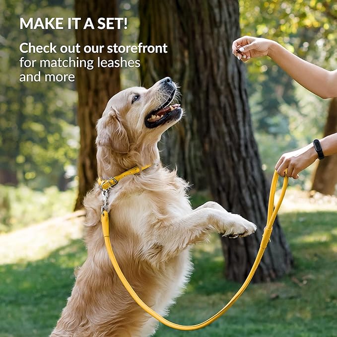 CollarDirect Rolled Leather Dog Collar, Soft Padded Round Puppy Collar, Handmade Genuine Leather Collar Dog Small Large Cat Collars 13 Colors (15-19 Inch, Yellow Smooth)-PawvioPets