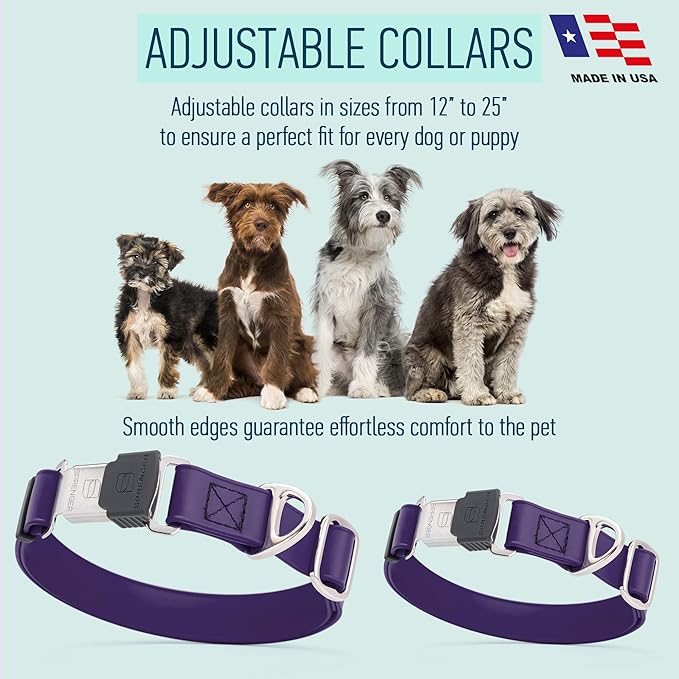 Dogline Biothane Waterproof Dog Collar with Herm Sprenger Black Stainless Steel Quick Release Buckle – Heavy Duty Tactical Durable Collar for Dogs – Comfortable and Safe Pet Collar W1 L 15-25" Purple-PawvioPets