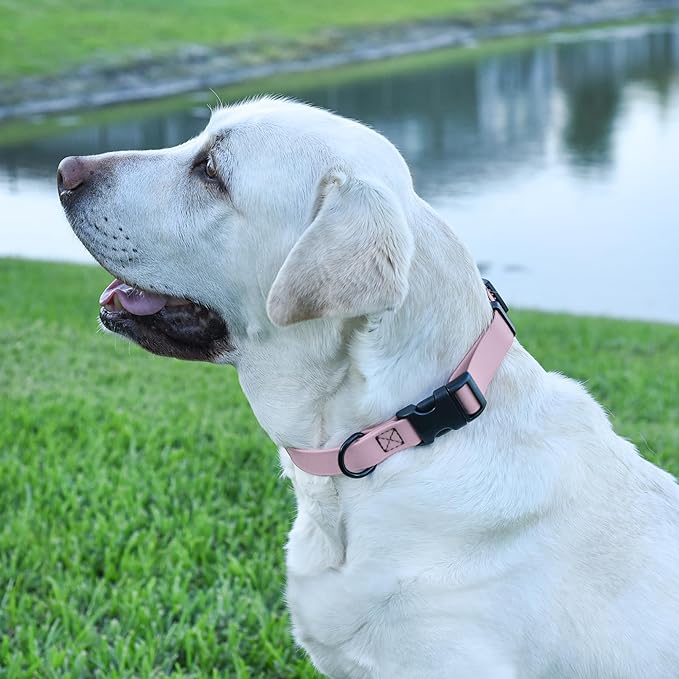 Dogline Biothane Waterproof Dog Collar with Quick Release Buckle Strong Coated Nylon Webbing with Odor- Proof for Easy Care Easy to Clean Fits Small Medium Large Dogs, Lavender 5/8" W 9-14" L-PawvioPets