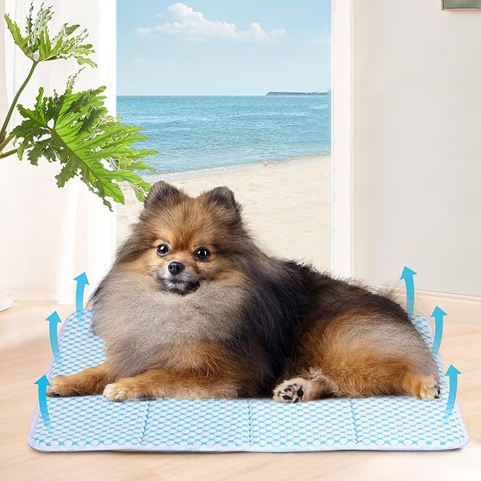 Dog Cooling Mat for Small Dogs - 24x18 Orthopedic Memory Foam Pet Pad for Summer, QMAX>0.5, Washable Premium Comfort Crate Pad for Your Furry Companion, Blue-PawvioPets