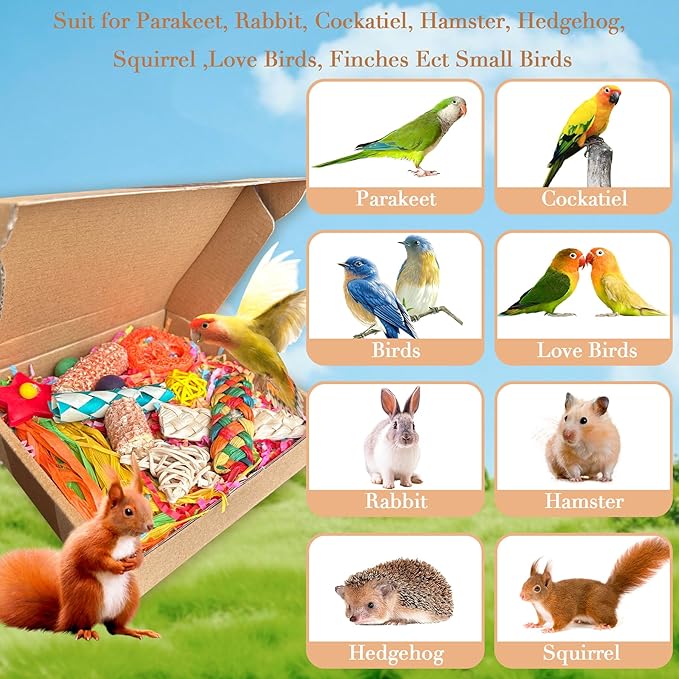 Bird Toys For Cockatiels, Tyotrbs Bird Toys For Conures Parakeet Toy BirdsToy For Parrots Birds Foraging Toy ParrotToys BirdCage Accessories Lovebird Cage Accessories for Small Birds-PawvioPets