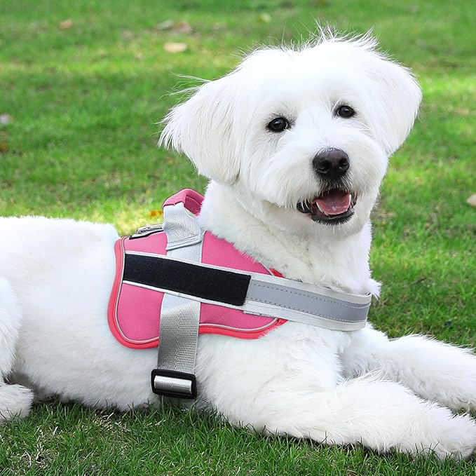 Bolux Dog Harness, No-Pull Reflective Dog Vest, Breathable Adjustable Pet Harness with Handle for Outdoor Walking - No More Pulling, Tugging or Choking (Fuchsia, Large (Pack of 1))-PawvioPets