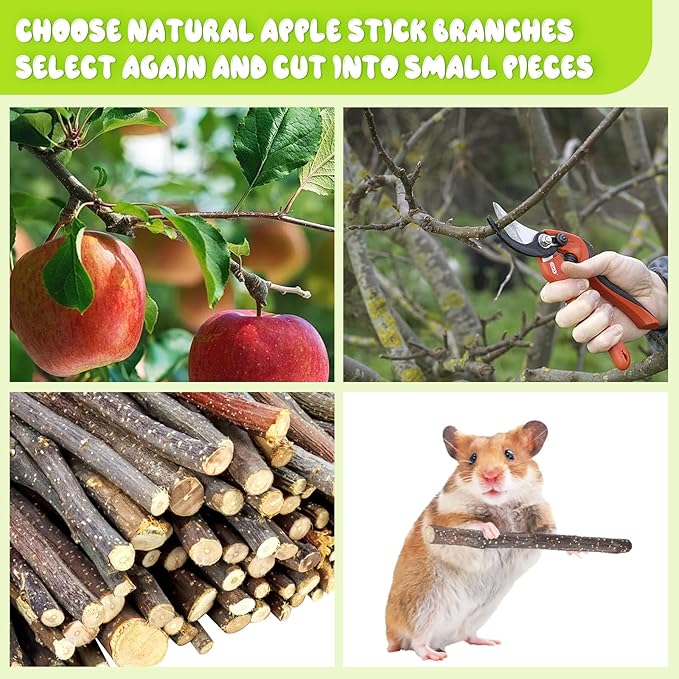 600g Small Apple Sticks Animals Molar Wood Treats Toys for Rabbits Chinchillas Guinea Pig Hamster Gerbil Parrot Bunny Chew Stick Toys Treats, 21.2 OZ-PawvioPets