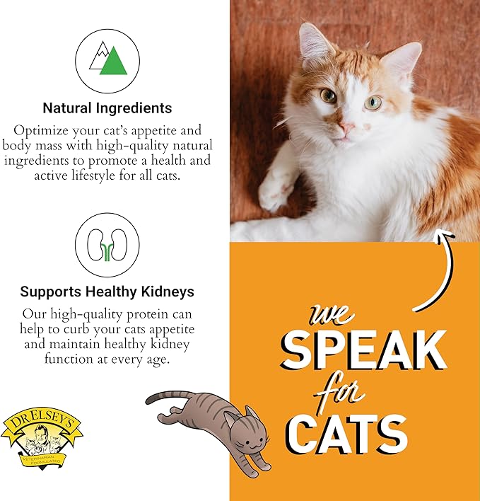 Dr. Elsey's cleanprotein Protein Bites Turkey 12 oz.-PawvioPets