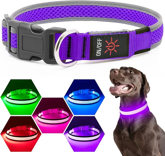 Flashseen LED Dog Collar, USB Rechargeable Light Up Dog Collar Lights, Adjustable Comfortable Soft Mesh Safety Pet Collar for Small, Medium, Large Dogs (Purple, Small)-PawvioPets