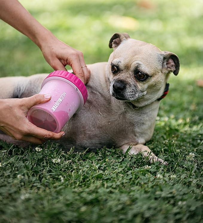 Dexas Dog Paw Cleaner, Small, Pink, Dog Accessories and Pet Supplies-PawvioPets