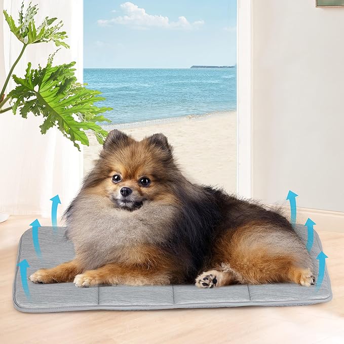 Dog Cooling Mat for Small Dogs - 24x18 Orthopedic Memory Foam Pet Pad for Summer, QMAX>0.5, Washable Premium Comfort Crate Pad for Your Furry Companion, Grey-PawvioPets
