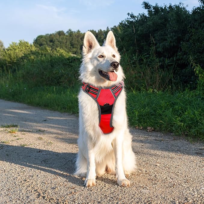 Eagloo Dog Harness Large Breed, No Pull Service Vest with Reflective Strips and Control Handle, Adjustable and Comfortable for Walking, No Choke Pet Harness with 2 Metal Rings, Red, XL-PawvioPets