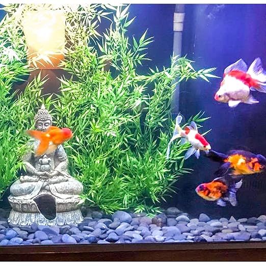 5 lbs Mexican Beach Pebbles, 0.3-0.6 Inch Small Pebbles for Pots Indoor Plants, Succulent, Vase, Fish Tank, Decorative River Rocks for Garden Landscaping, Home Decor, Outdoor Paving, Grey-PawvioPets