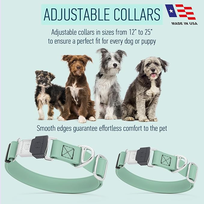 Dogline Biothane Waterproof Dog Collar with Herm Sprenger Black Stainless Steel Quick Release Buckle – Heavy Duty Tactical Durable Collar for Dogs – Comfortable, Safe Pet Collar W1 L15-25 Sage Green-PawvioPets