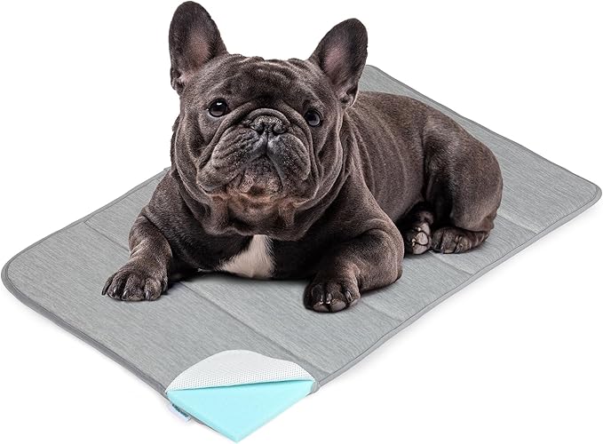Dog Cooling Mat for Medium Dogs - 30x20 Orthopedic Memory Foam Pet Pad for Summer, QMAX>0.5, Washable Premium Comfort Crate Pad for Your Furry Companion, Grey-PawvioPets