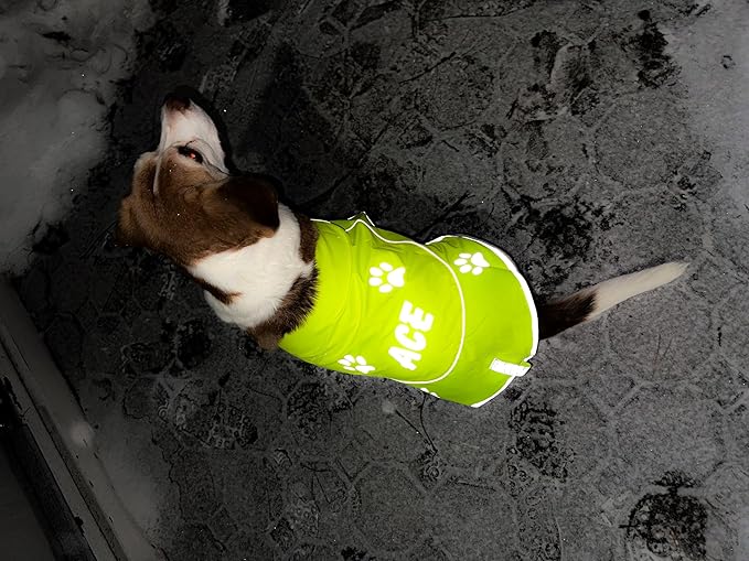 Custom Reflective Dog Vest Personalized High Visibility Reflective Jacket for Your Puppy Hunting Safety Gear with Elastic Strap & Clasp, Comfortable, Perfect for Day and Night Walks!-PawvioPets