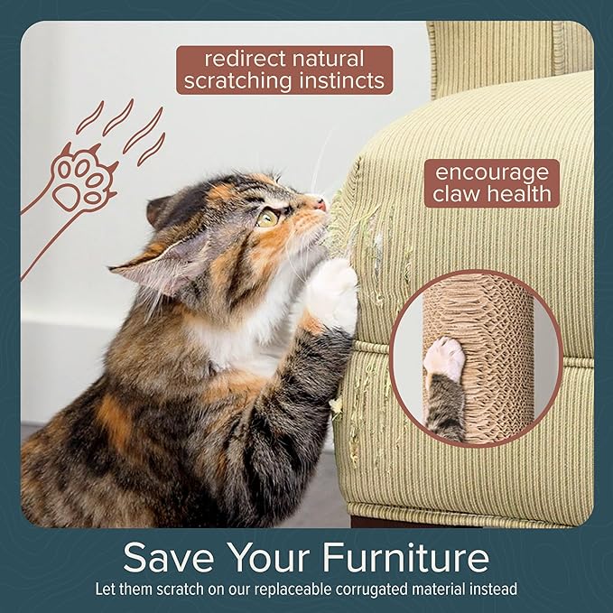 Cat Climbing Wall System – Modern Floating Shelves & Perches for Cats - Sunrise Steps | Ascentials by FurHaven-PawvioPets