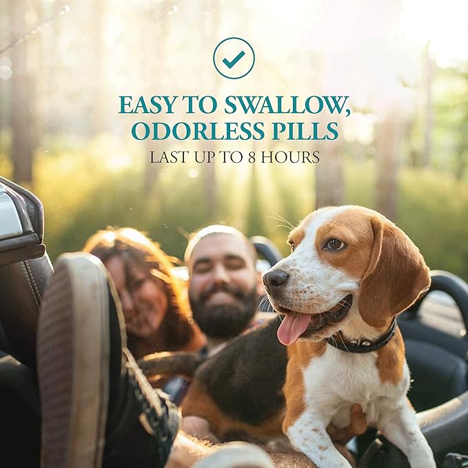 Anti-Motion Sickness and Nausea Relief for Small Breed Dogs, Relief for Disorientation and Dizziness, 10 Tablets-PawvioPets