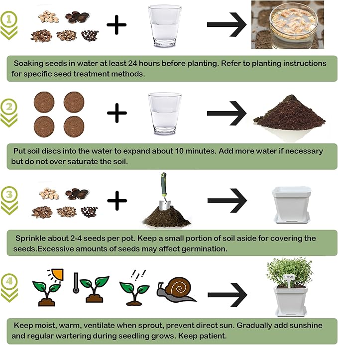 10 Herb Seeds Garden Starter Grow Kit with White Pots, Markers, Nutritional Soil, Watering, Herb Clipper, Complete Indoor Potted Plant Growing Set for Kitchen DIY-PawvioPets