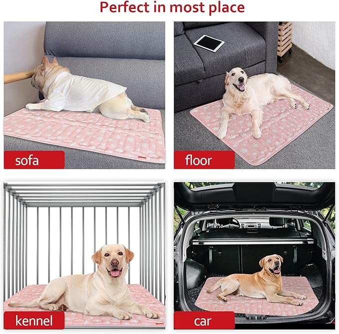 Dog Crate Mat (36" X 23"), Soft Dog Bed Mat with Cute Prints, Personalized Crate Pad, Anti-Slip Bottom, Machine Washable Kennel Pad-PawvioPets