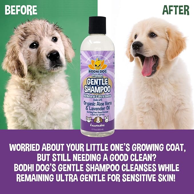 Bodhi Dog Premium Gentle Shampoo - Soothing, Ultra-Gentle Puppy Shampoo with Aloe Vera & Lavender Oil - Natural Moisturizing Pet Wash for Puppies, Dogs & Cats (17 Fl Oz)-PawvioPets