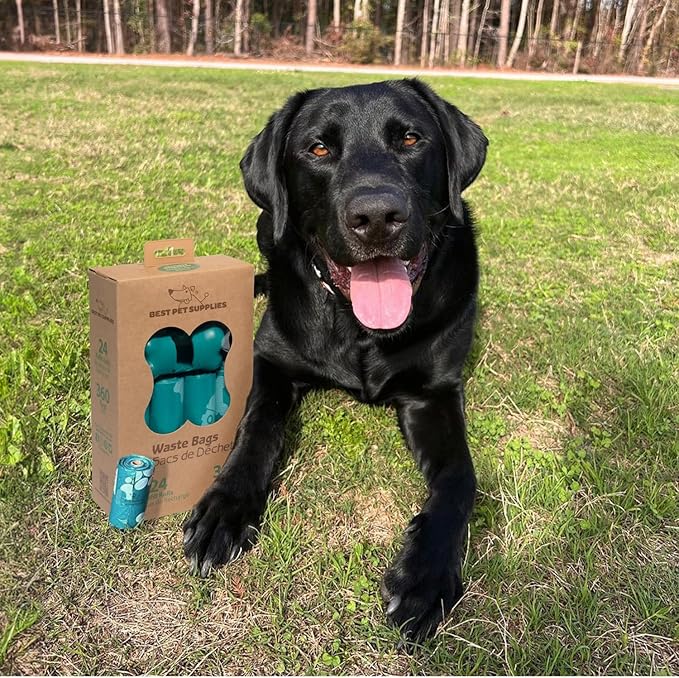 Best Pet Supplies Dog Poop Bags (360 Bags) for Waste Refuse Cleanup, Doggy Roll Replacements for Outdoor Puppy Walking and Travel, Leak Proof and Tear Resistant, Thick Plastic - Turquoise-PawvioPets