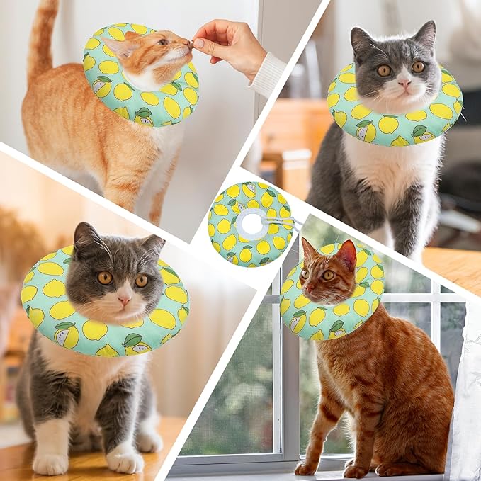 Cat Cone Collar Soft, Adjustable Cat Recovery Collars Kitten Cones to Stop Licking, Cute Donut E Collar After Surgery, Soft Cone Elizabethan Collar for Kittens (Green Lemon, Medium)-PawvioPets