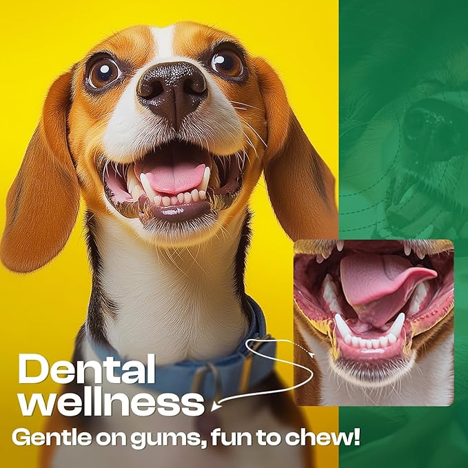 Dog Toys for Aggressive Chewers - Heavy Duty Chew Proof Durable Toy for Large Breed Dogs, Interactive Tough Nylon Bone for Boredom Relief & Mental Stimulation-PawvioPets