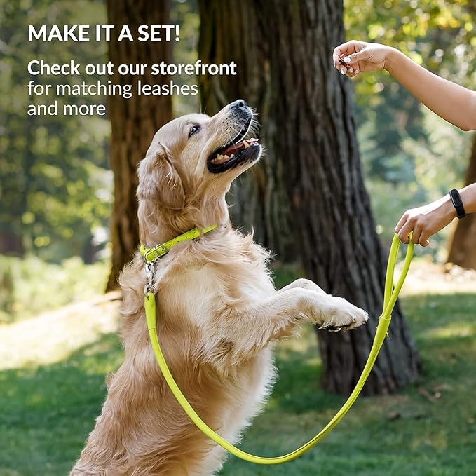 CollarDirect Rolled Leather Dog Collar, Soft Padded Round Puppy Collar, Handmade Genuine Leather Collar Dog Small Large Cat Collars 13 Colors (6 Inch, Lime Green Smooth)-PawvioPets