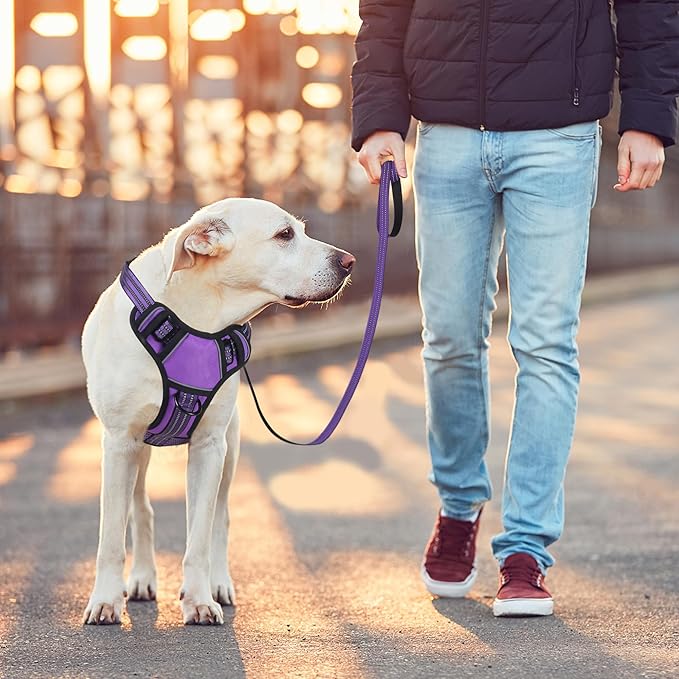 BUMBIN Dog Harness for Large Dogs, No Pull Adjustable No Choke Pet Vest with Dog Leash Fit Smart Reflective Pet Walking Harness for Training Easy Control Soft Handle Purple S-PawvioPets