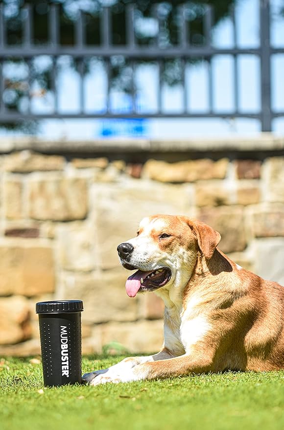 Dexas MudBuster Portable Dog Paw Washer/Paw Cleaner, Large, Matte Black- Special Edition (PW72025-22WP)-PawvioPets