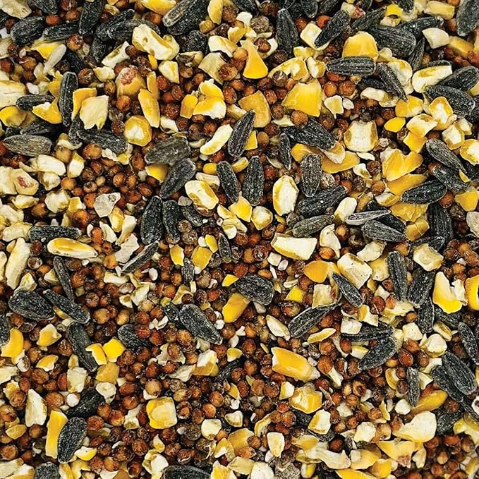 AMERICAN MELODY Wild Bird Feed - 20 Pound Bag-PawvioPets