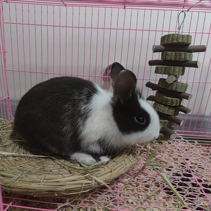 Generic Rabbit Bunny Treat Hamster Chew Toys Grass Cakes Heart Shaped Chew Toys Pets Treats for Bunny Rabbits Hamster Chinchilla Guinea Pigs 2Pcs-PawvioPets