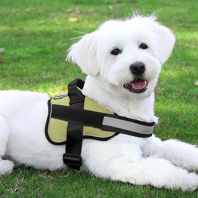 Bolux Dog Harness, No-Pull Reflective Dog Vest, Breathable Adjustable Pet Harness with Handle for Outdoor Walking - No More Pulling, Tugging or Choking-PawvioPets