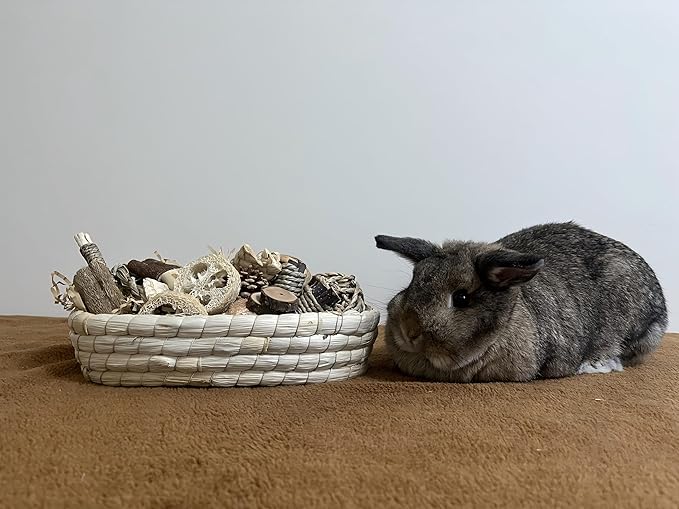 31PCS Rabbit Chew Treat Toys for Teeth Health, Natural Bunny Enrichment Toys for Boredom & Stress Relief, Keep Busy Toys for Guinea Pig Chinchilla Hamster Rat Gerbil Degu Indoor Outdoor-PawvioPets