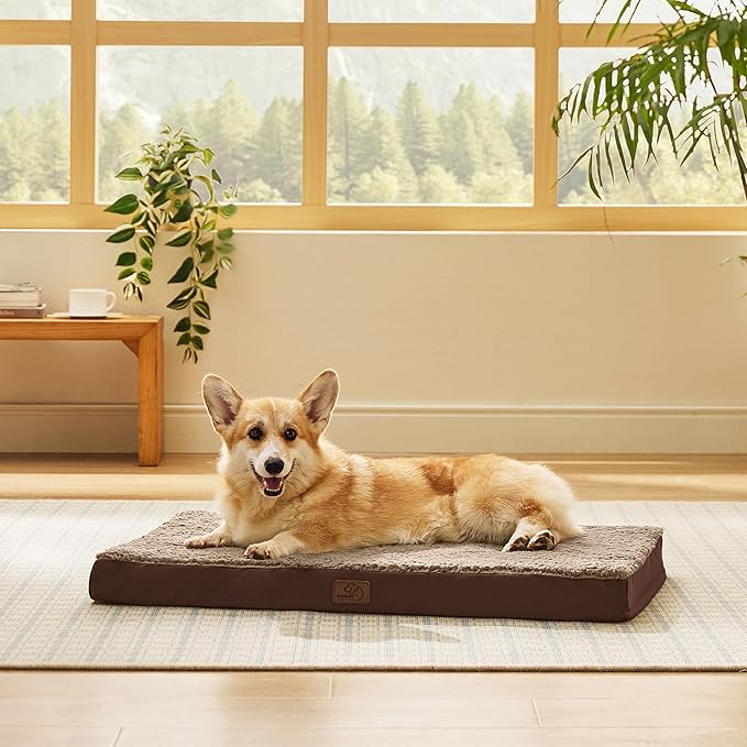 Bedsure Large Dog Bed for Crate - Orthopedic Flat Pet Beds with Removable Washable Cover, Egg Crate Foam Crate Mat, Suitable for Pet Up to 50 lbs-PawvioPets