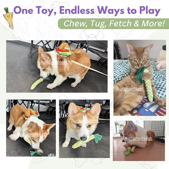 3PCS Rainbow Woven Pet Chew Set, Colorful Puppy Teething Chews, Dog Chew Toys, Cat Teething Playset, Soft & Safe Interactive Pet Chews-PawvioPets