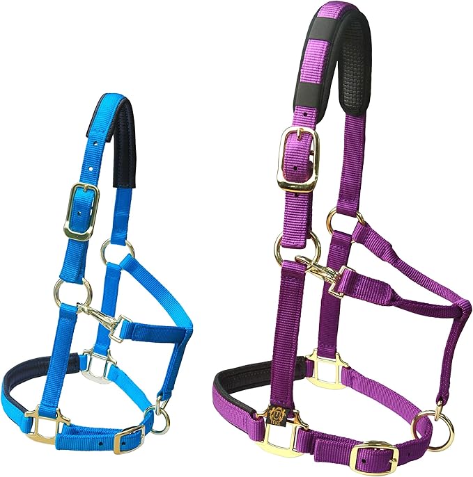 T TEKE Adjustable Horse Halters by Heavy Duty Soft Nylon, Padded with Anti-rubbing Waffle Neoprene on Both Crown & Nose-PawvioPets