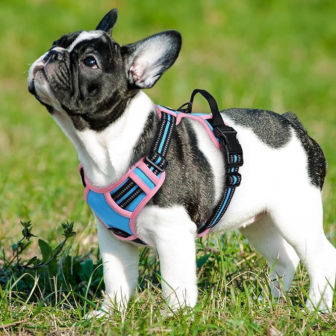 Eagloo Dog Harness Small Sized Dog, No Pull Service Vest with Reflective Strips and Control Handle, Adjustable and Comfortable for Walking, No Choke Pet Harness with 2 Metal Rings, Pink & Blue, S-PawvioPets