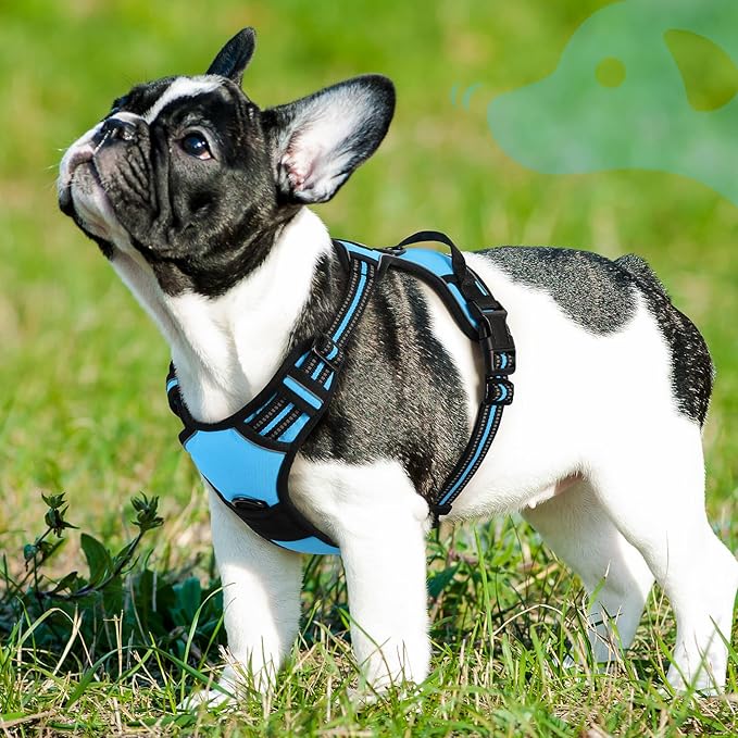 Eagloo Dog Harness Small Sized Dog, No Pull Service Vest with Reflective Strips and Control Handle, Adjustable and Comfortable for Easy Walking, No Choke Pet Harness with 2 Metal Rings, Sky Blue, S-PawvioPets