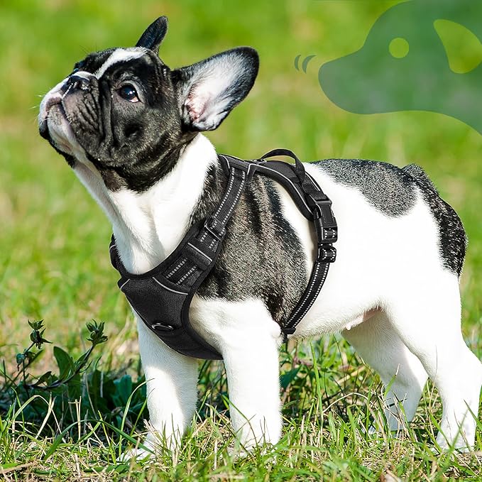 Eagloo Dog Harness Small Sized Dog, No Pull Service Vest with Reflective Strips and Control Handle, Adjustable and Comfortable for Easy Walking, No Choke Pet Harness with 2 Metal Rings, Black, S-PawvioPets