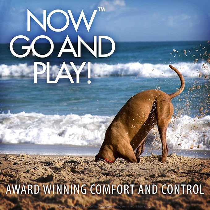 Ezydog Drive Dog Car Harness – Crash Tested and Certified (US-FMVSS 213) Dog Seat Belt Harness for Safe Travel, Adjustable with Padded Comfort (Medium)-PawvioPets