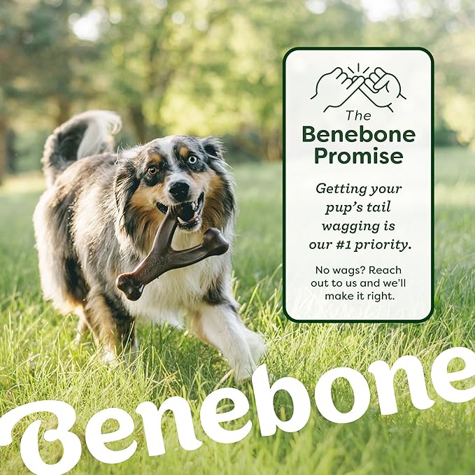 Benebone 2-Pack Bacon Wishbone/Rubber Bone Medium-PawvioPets