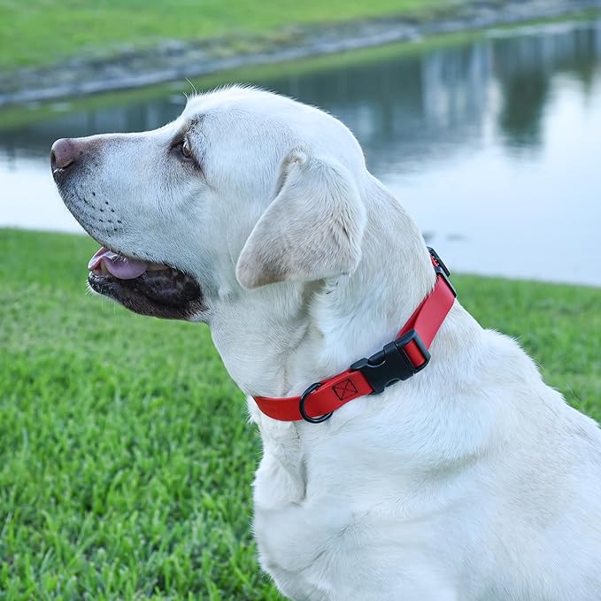 Dogline Biothane Waterproof Dog Collar with Quick Release Buckle Strong Coated Nylon Webbing with Odor- Proof for Easy Care Easy to Clean Fits Small Medium Large Dogs, Red 5/8" W 9-14" L-PawvioPets