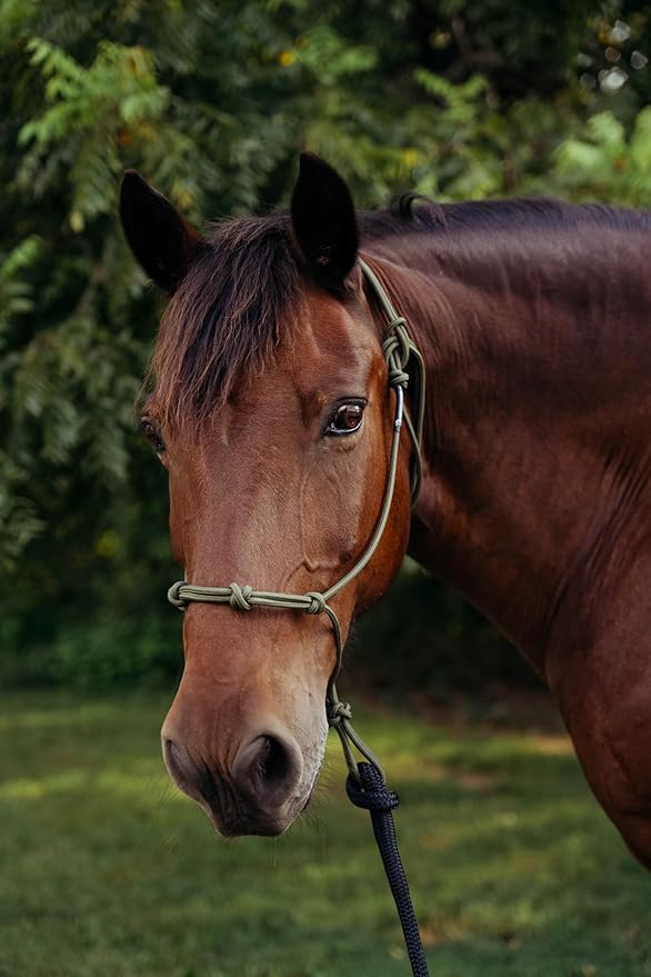 22' Long Line with SS O Ring and Carabiner (Pink)-PawvioPets