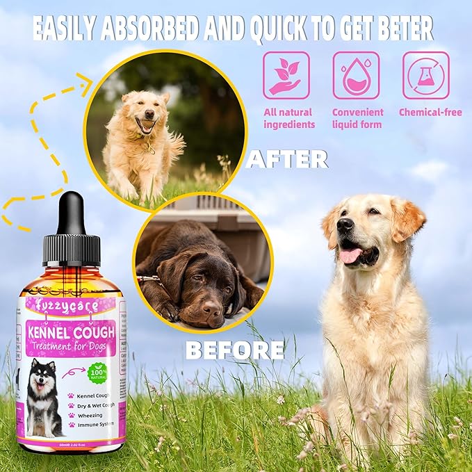 Dog Cough Treatment,Effective Kennel Cough Medicine for Dogs & Cats, Natural Kennel Cough Treatment and Allergy Relief, Herbal Drops for All Breeds & Sizes, Soothing Dog Cough Medicine-PawvioPets