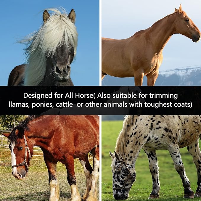 DUCKBOY Heavy Duty Clippers for Thick Coats Animals, 500W Professional Electric Shearing Machine for Horse Pony Cattle and Large Dogs Livestocks Grooming, 6 Speed & 2 Detachable Shearing Blades-PawvioPets