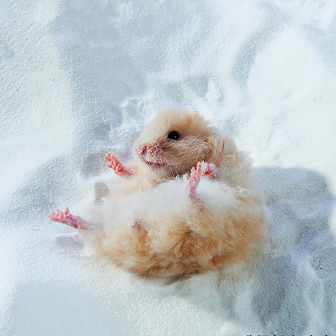DR.DUDU Hamster Bath Sand, 12lb Dust Free Desert Sand or Potty Litter Sand for Hamster Chinchillas Gerbil Syrian Mice Small Animals (White)-PawvioPets