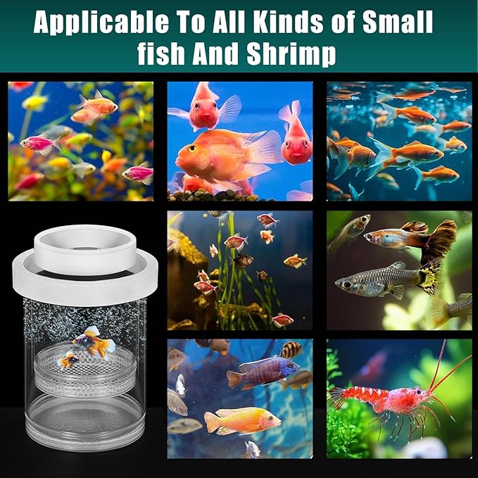 2 Pcs Breeder Box for Fish Tank Aquarium Breeder Separation Net Breeding Box with Suction Cup for Small Fish Shrimp Clownfish Guppy (White,L)-PawvioPets